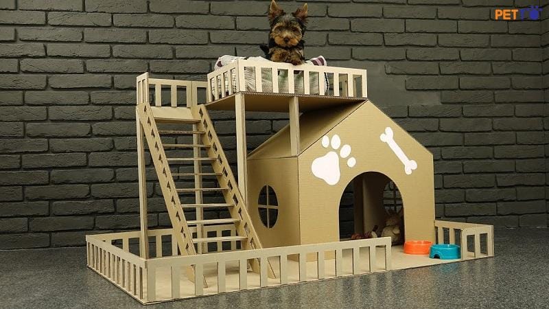 15+ Ý Tưởng Làm Đồ Handmade Bằng Bìa Carton Đơn Giản, Đẹp Và Tiết Kiệm 13 làm nhà cho thú cưng bằng bìa carton